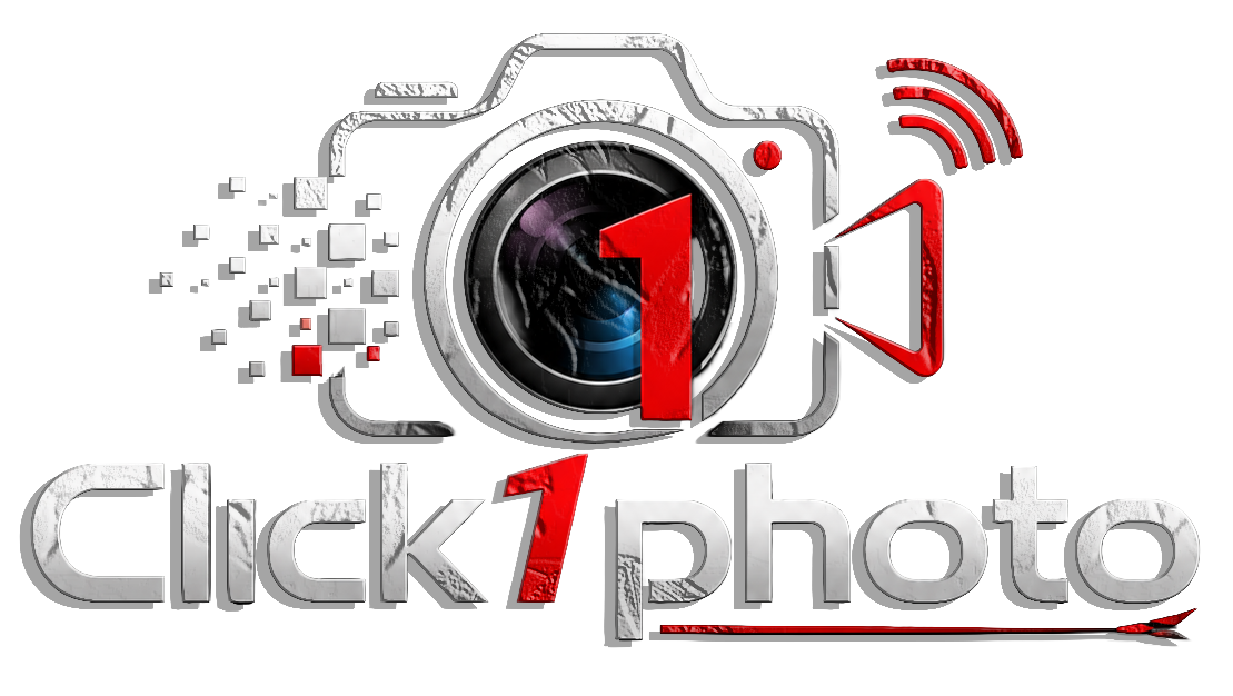 Final LOGO Web
